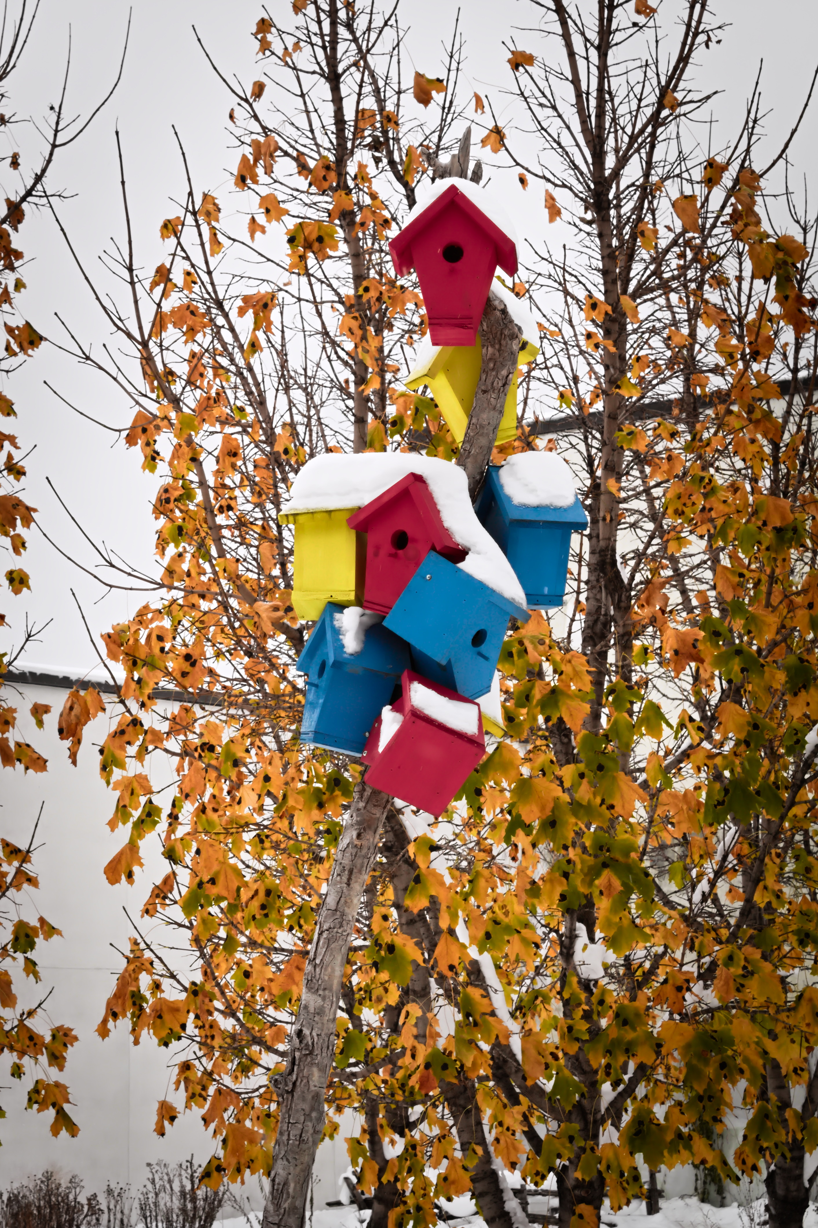 Small colourful bird houses (red, blue, and yellow) clustered on a wooden pull, behind them are orange-leafed trees and a nondescript snowy background