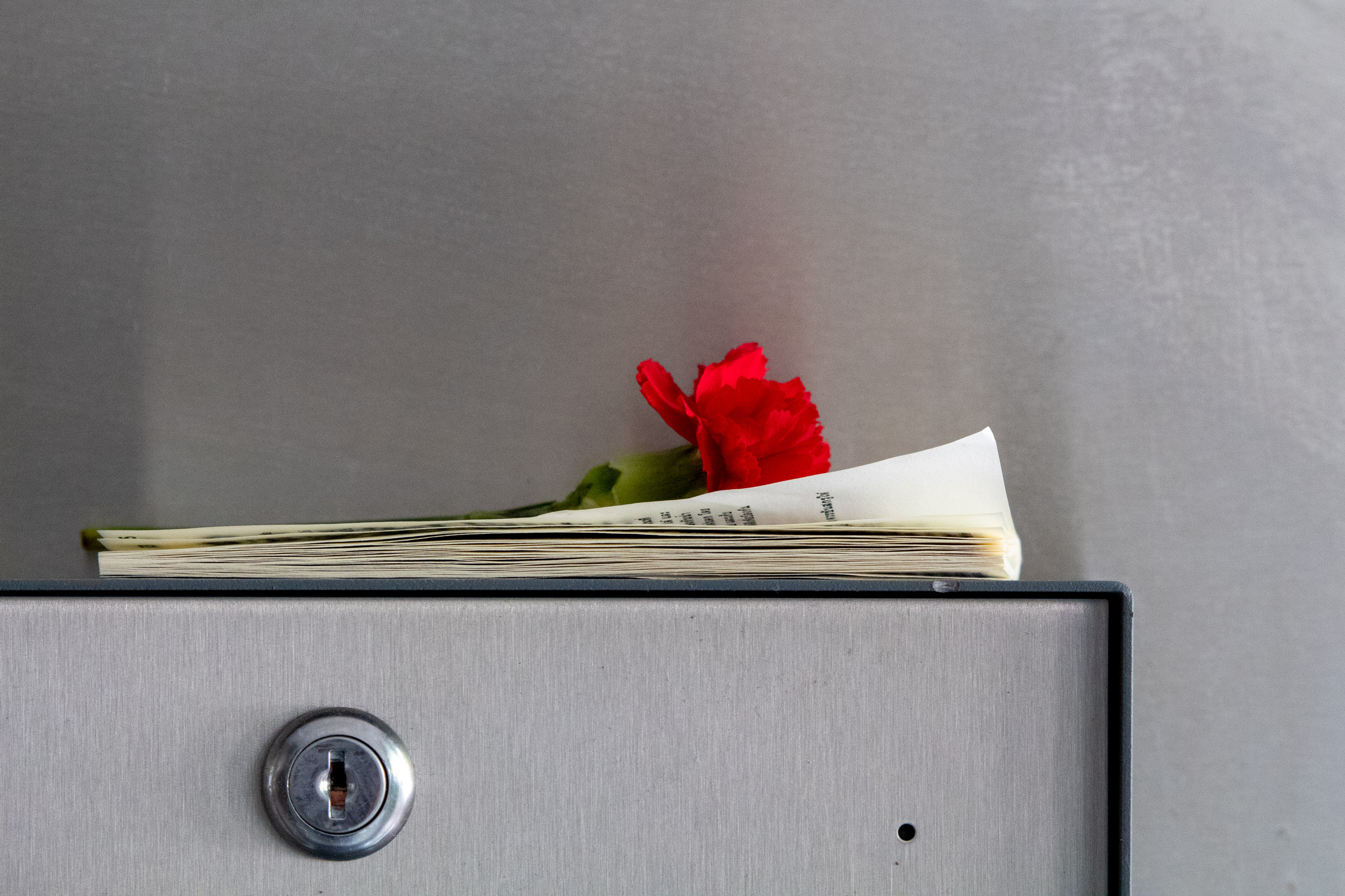 Single red rose sitting on top of an apartment buzzer box